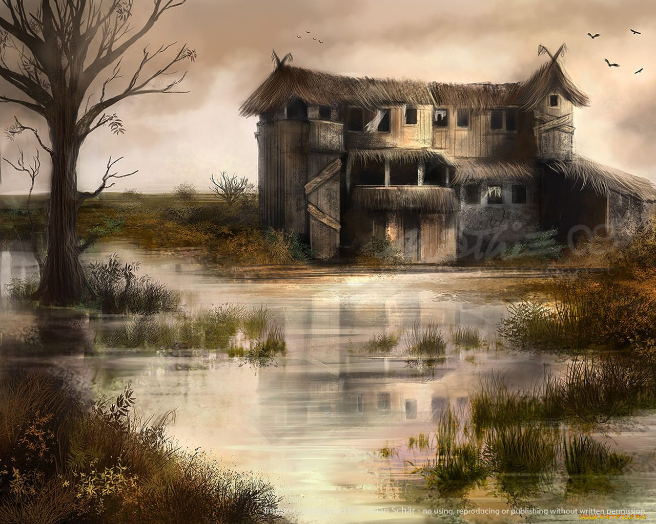 Дом у болота